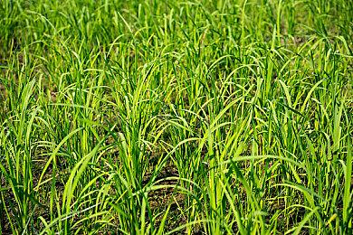 《绯红结系》1.03版本更新 多方面提升游戏舒适性